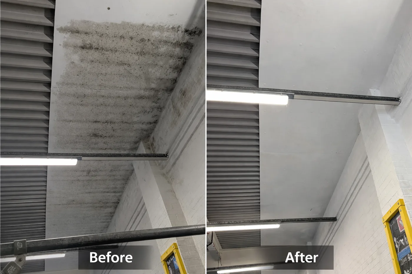 Mould growth on an internal wall before treatment and the same wall after remediation