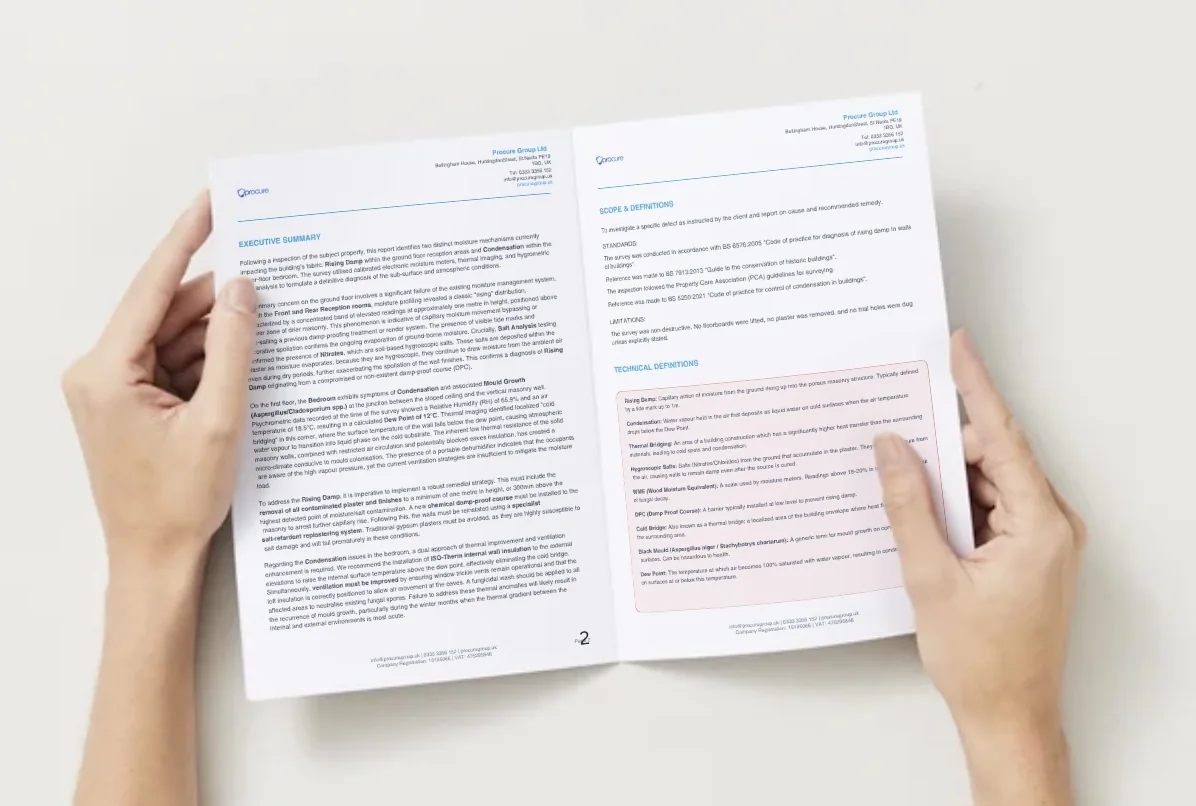 An open Procure Group survey report showing the executive summary alongside the scope, standards and technical definitions