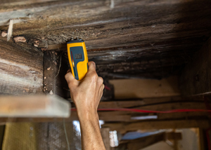 person using a moisture meter to check wood in a building inspecting for damage four areas to check moisture levels